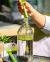 Matcha Sticks