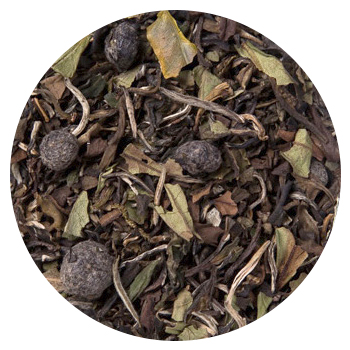 Blanco Blueberry latas