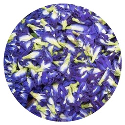 Herbal Butterfly Pea Flor latas